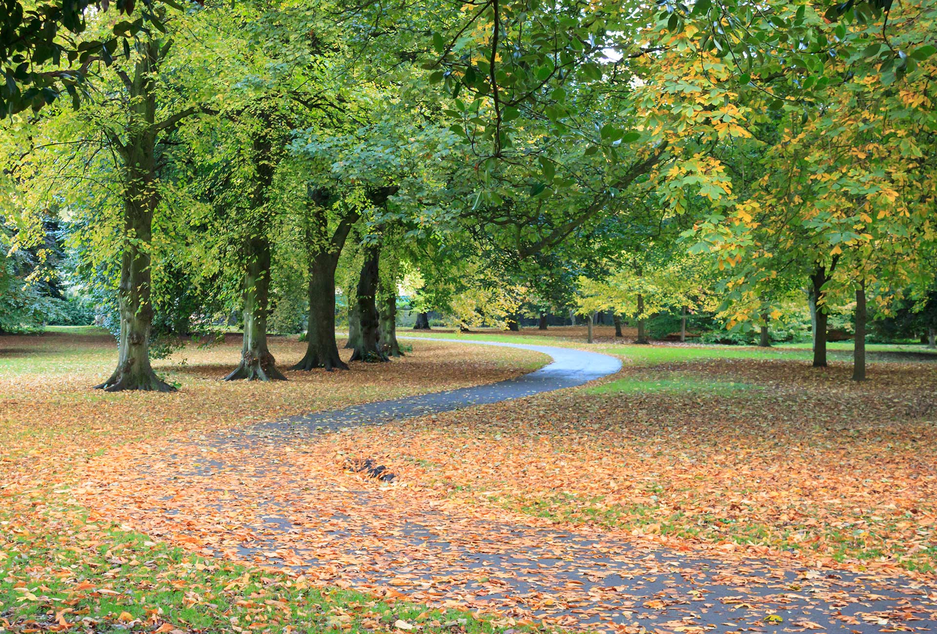 Bute park, Cardiff