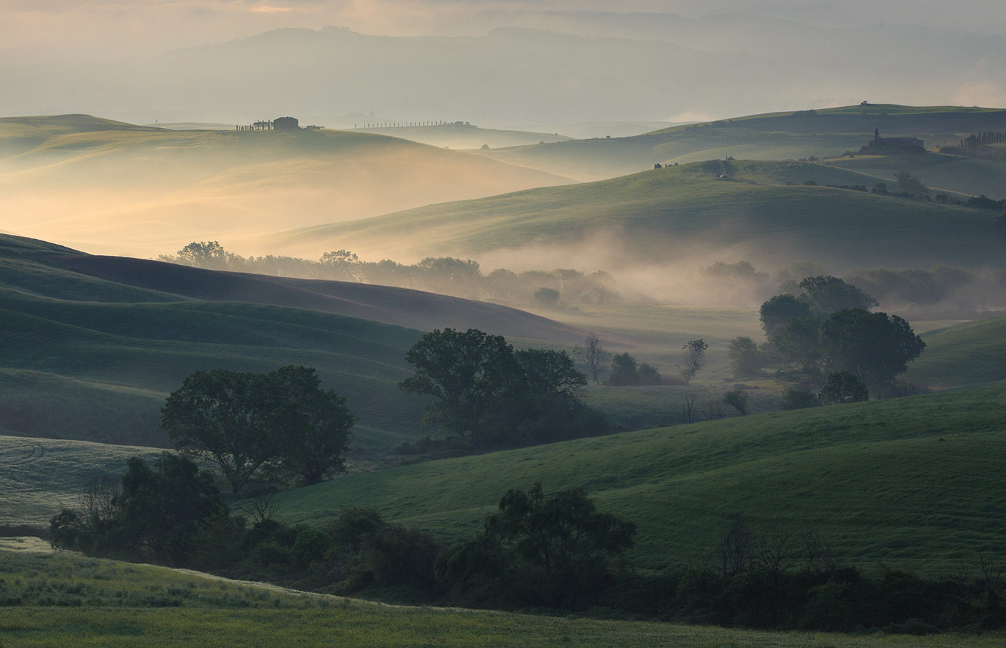 Gold is in the air, Tuscany