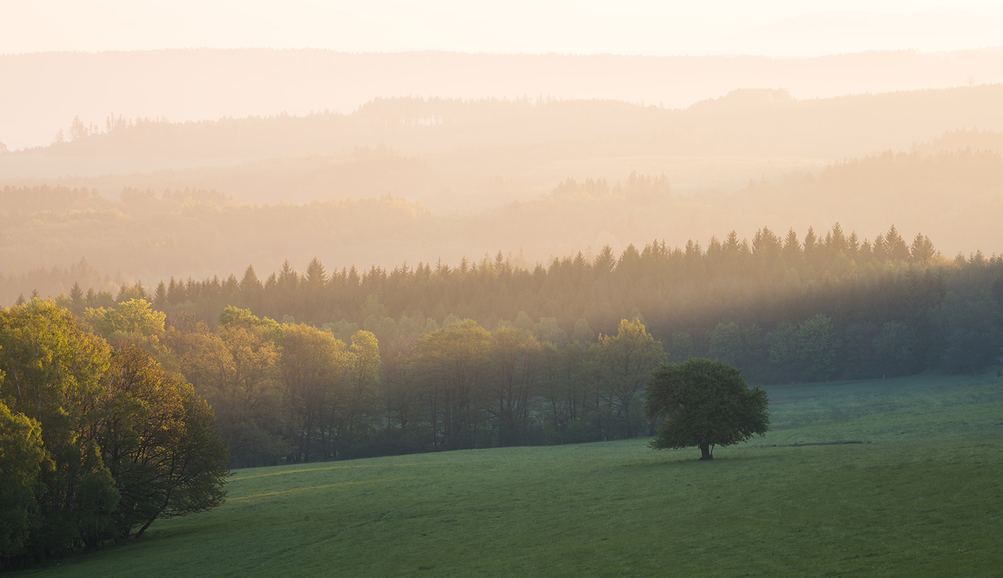 First touch of light, Bystrice pod Lopenikem, Czech Republic