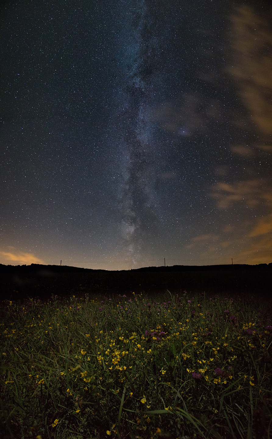 Meadows of White Carpathians, Nova Bosaca, Slovakia