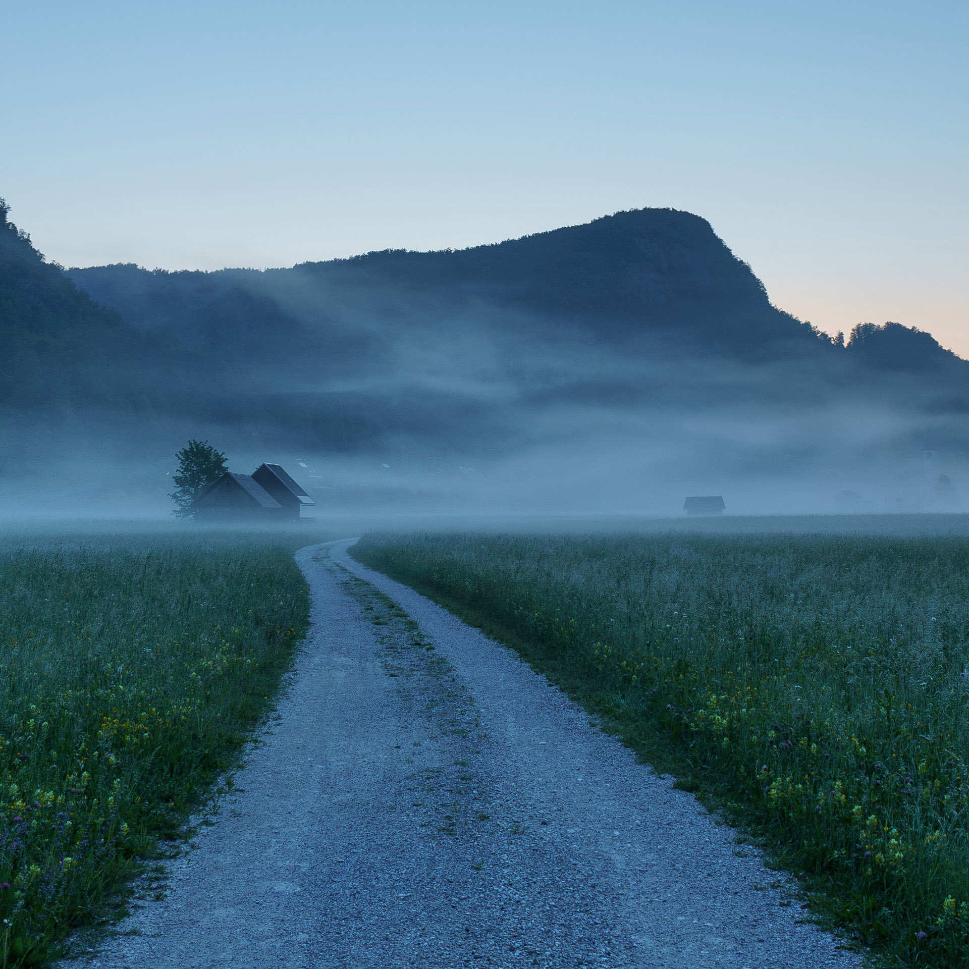 Foggy morning near Bitnje