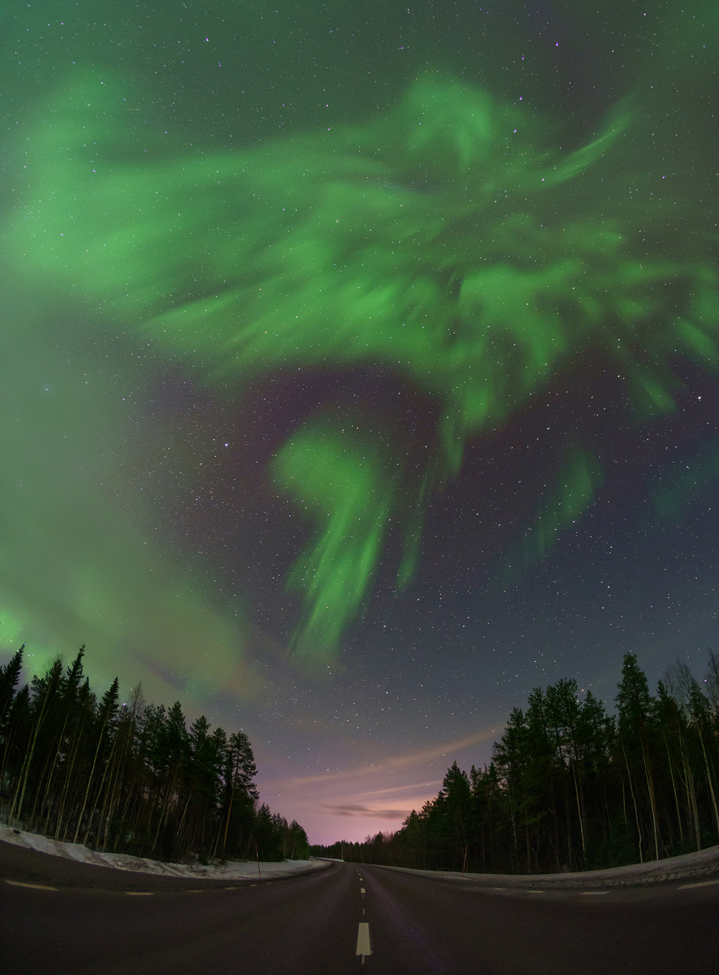 Aurora borealis in the night sky above the forest road